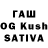 Псилоцибиновые грибы Magic Shrooms Klinton3klinton