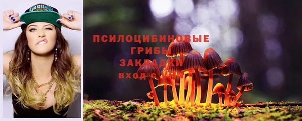 метамфетамин Козловка
